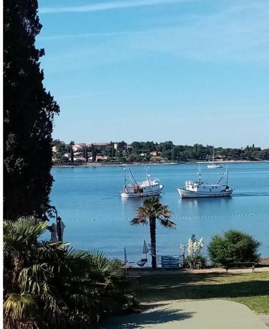 Apartment Angelina 70M From The Beach, Free Parking Novigrad Istria Exterior foto